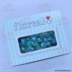 Trandafiri Mici Vafa - Bleu