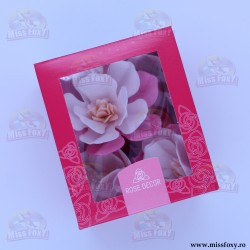 6 Magnolii Roz