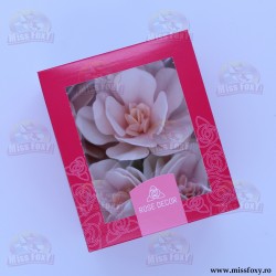 6 Magnolii Alb + Roz