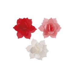 8 Flori de NUFAR ROSU
