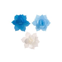 8 Flori de NUFAR BLEU